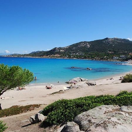 L'Orangeraie Calvi Centre A 300M De La Plage Et Du Port Parking Prive Exterior photo