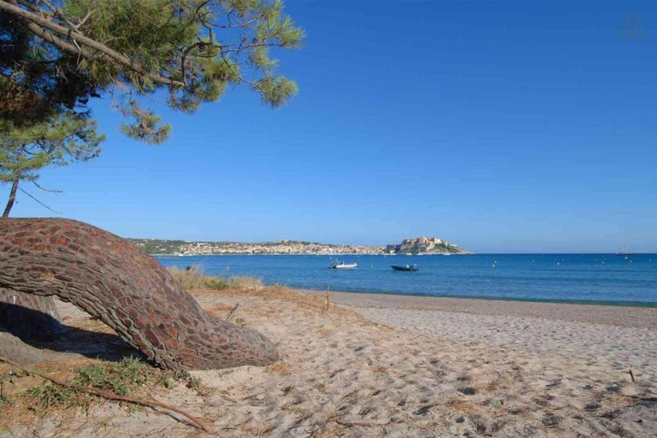 L'Orangeraie Calvi Centre A 300M De La Plage Et Du Port Parking Prive Exterior photo