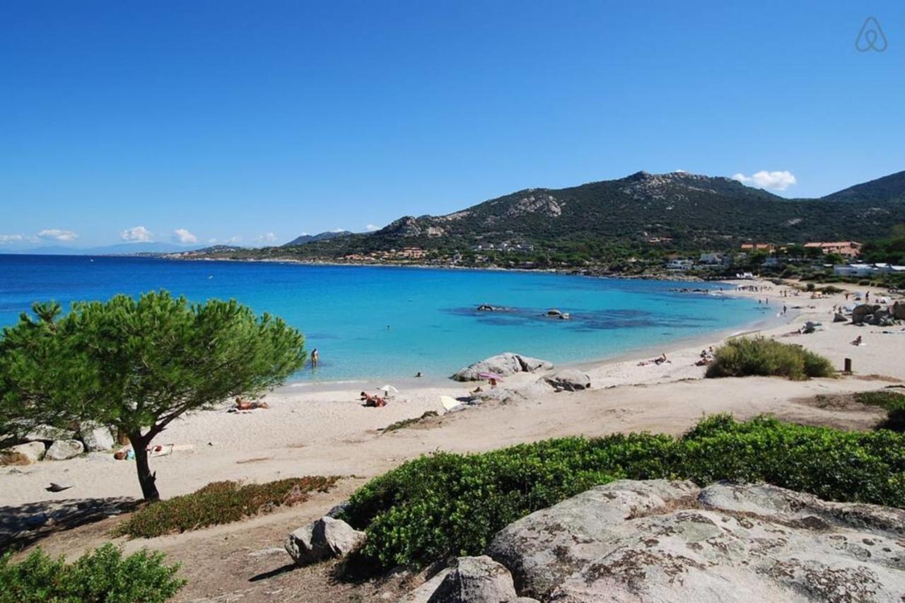 L'Orangeraie Calvi Centre A 300M De La Plage Et Du Port Parking Prive Exterior photo